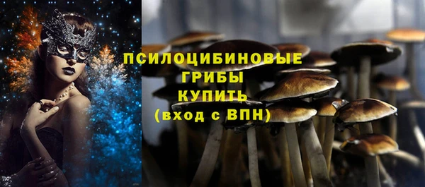 гашик Алзамай