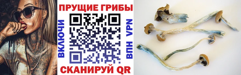 Галлюциногенные грибы Cubensis наркота Далматово
